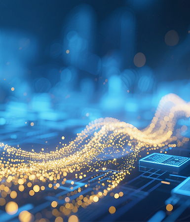 我们的三大服务